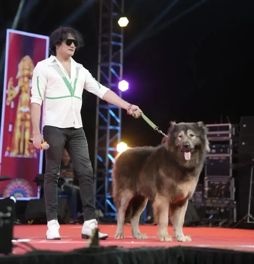 Cadabomb Okami, the world's most expensive dog valued at $5.7 million
