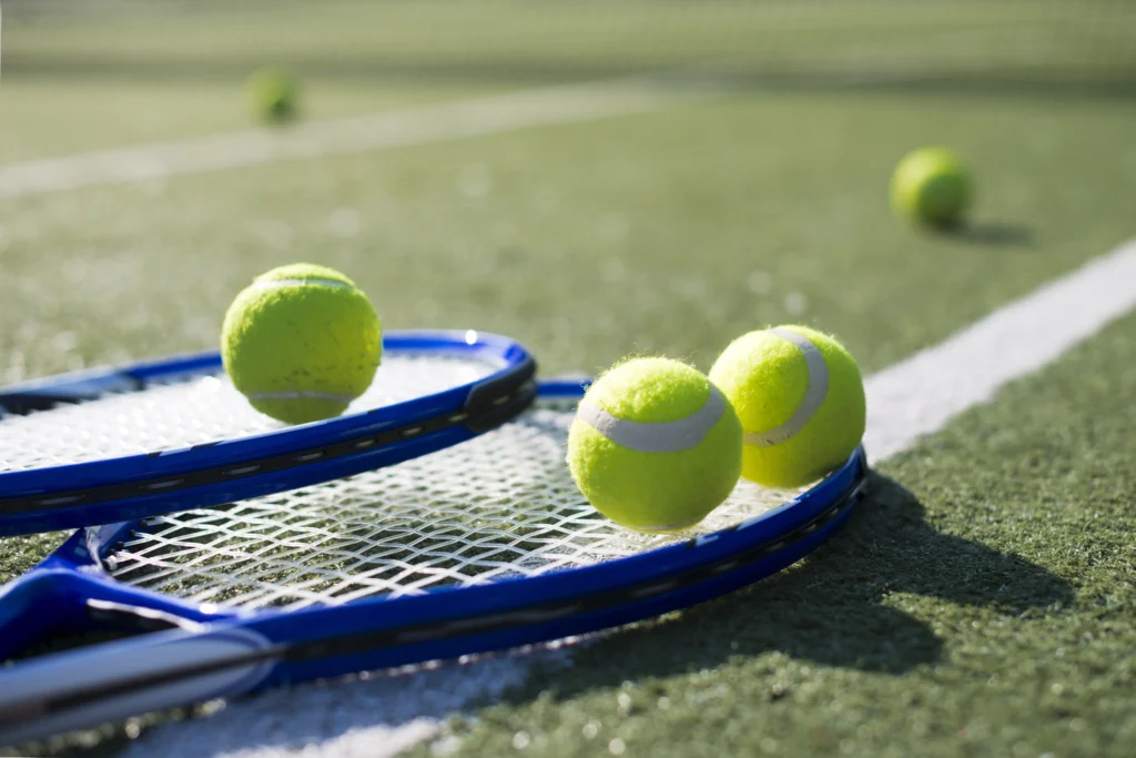 Carlos Alcaraz celebrates victory on the clay court at Roland Garros 2025