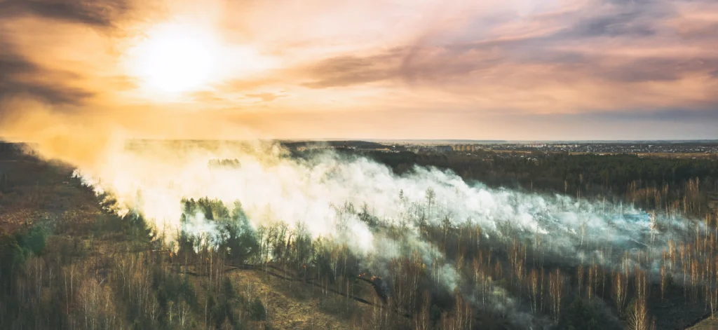 Smoke rises from a massive California wildfire engulfing hills and trees.