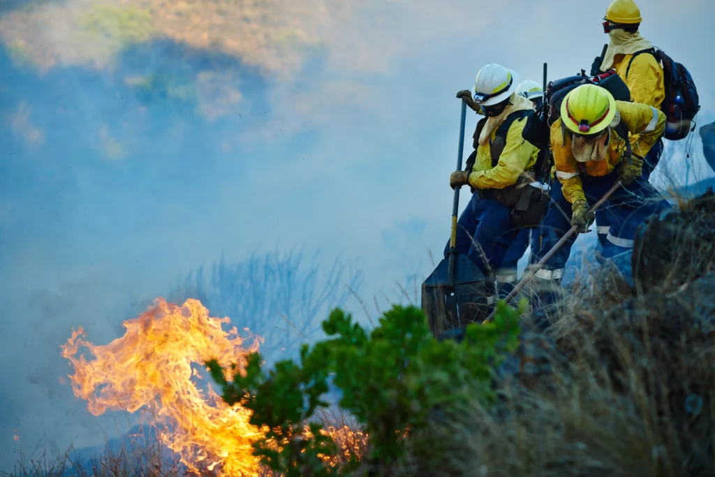 Smoke rises from a massive California wildfire engulfing hills and trees.