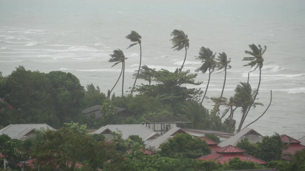 A satellite view of a powerful Hurricane Erin with a clear eye, swirling over the ocean as it approaches the coastline