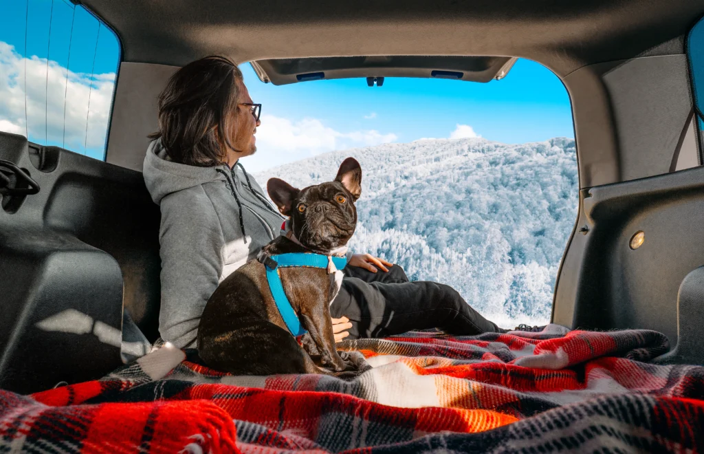 Pet-Friendly Travel
Owner and dog enjoying a sunny day at a pet-friendly beach