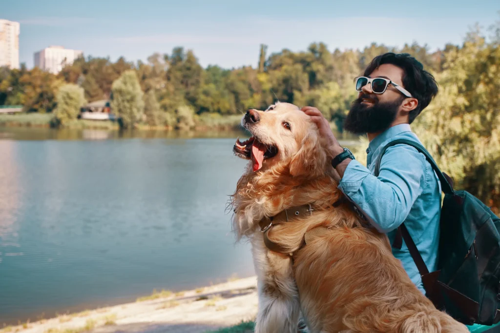 Pet-Friendly Travel
Owner and dog enjoying a sunny day at a pet-friendly beach
