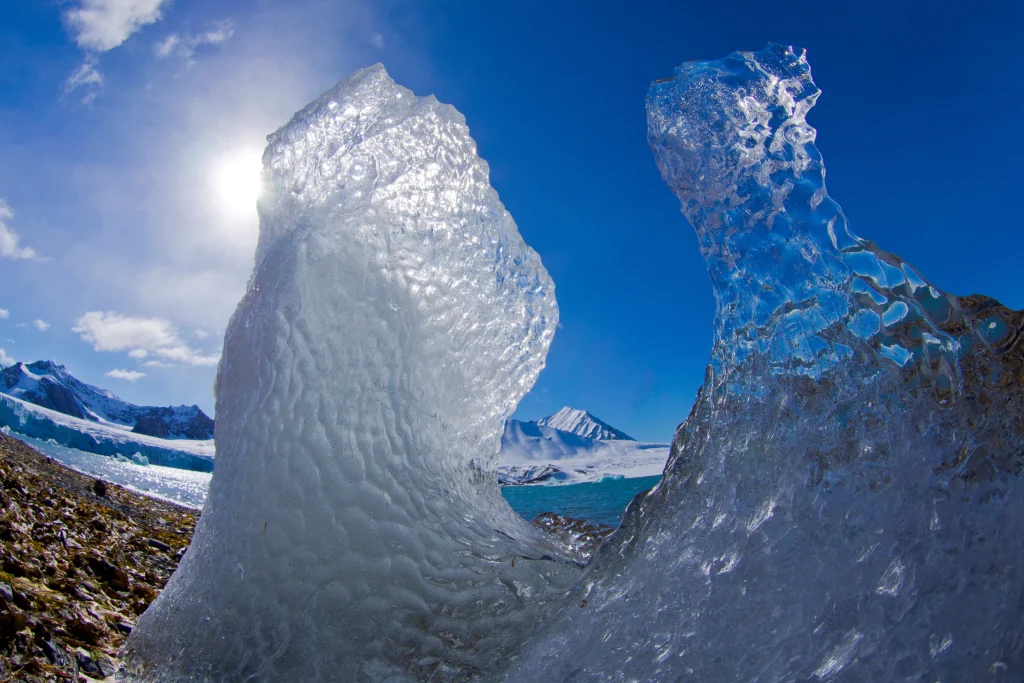 A frozen Atlanta street during the Arctic cold wave, with cars and trees covered in frost under clear morning skies.