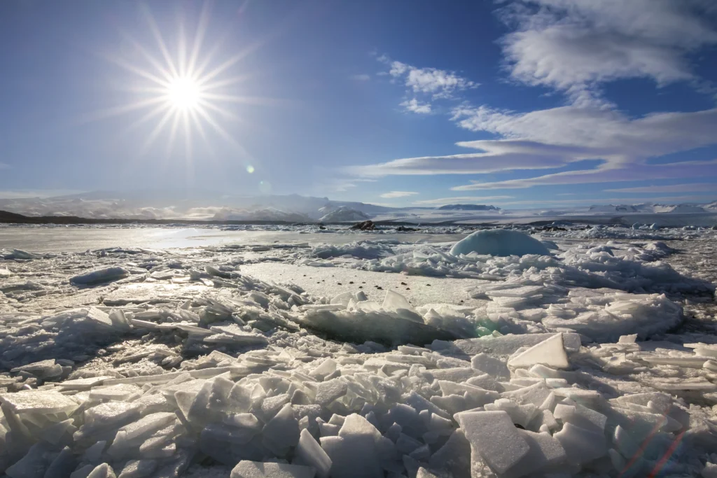 A frozen Atlanta street during the Arctic cold wave, with cars and trees covered in frost under clear morning skies.