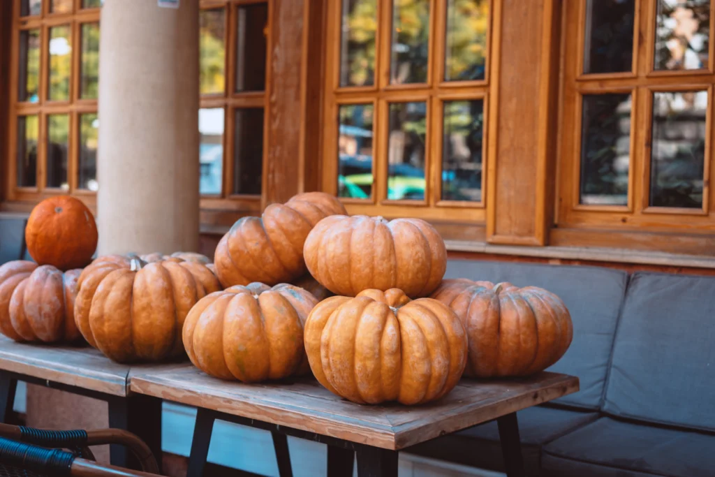 The Best Pumpkins for Carving: Choosing the Right One