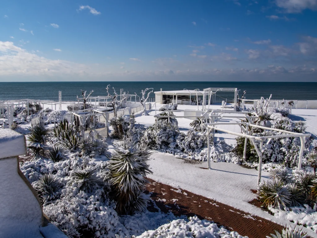 Cold Wave in Florida
Cold wave hits Florida, affecting farmers and tourists with unusual freezing temperatures.