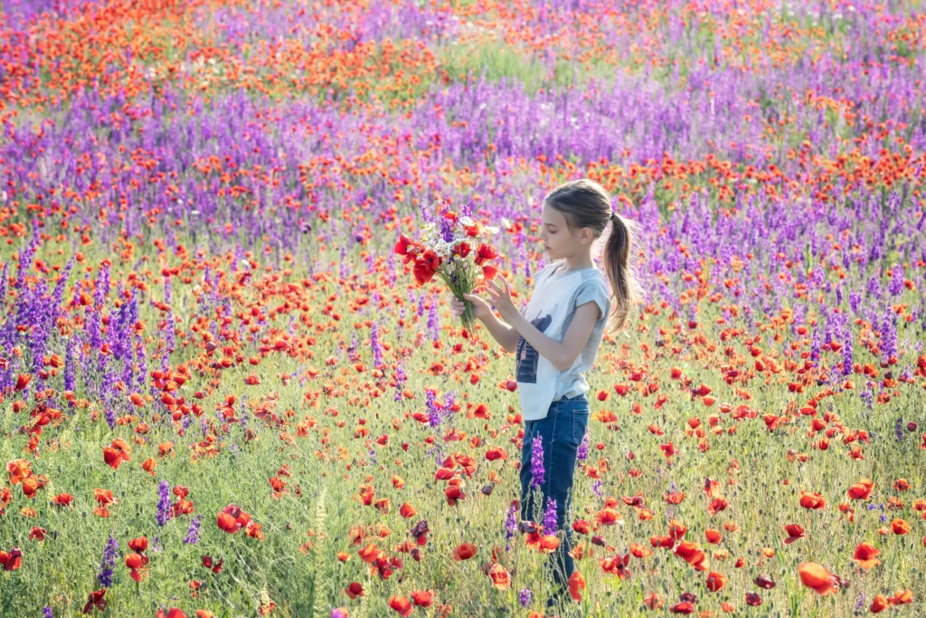 Colorful wildflowers blooming across a sunlit field in the USA