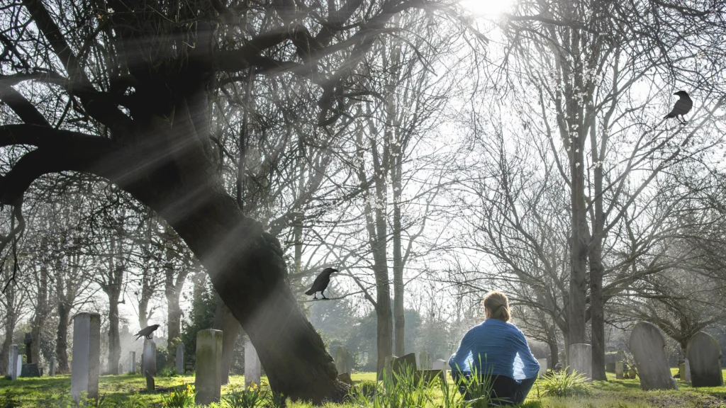 Moriah Wilson tribute image highlighting her legacy and the 2026 case resurgence in media