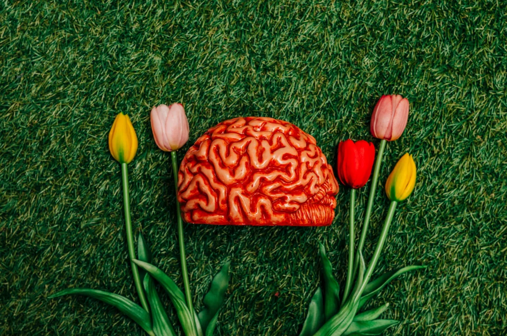 Illustration of an aging brain with glowing neural connections symbolizing mental sharpness and cognitive health