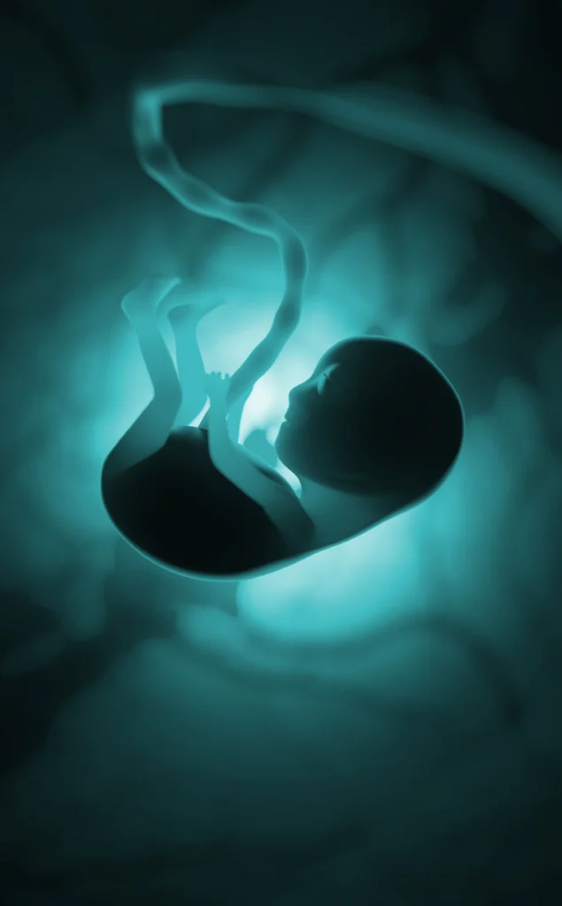 Illustration representing the ethical and legal debate surrounding the global trade of human embryos in fertility and reproductive medicine.