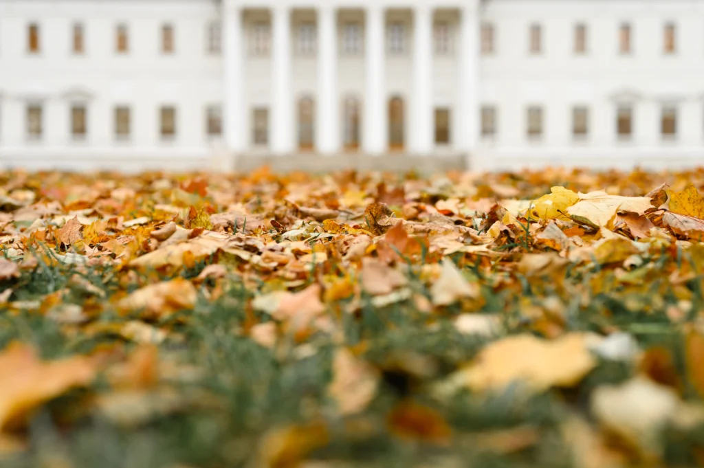 White House exterior representing reported involvement in the Blanche order rescinding the Anti-Weaponization Fund.