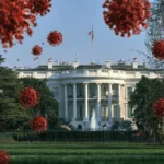 White House monitors suspected plague case in Russia